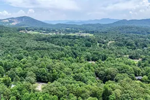 2087 Wood Lake Ln, Young Harris, GA 30582 - Photo 59