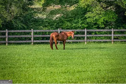 225 Cohutta Ranch Road, Blue Ridge, GA 30513 - Photo 65