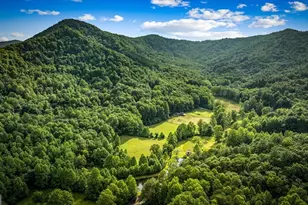 225 Cohutta Ranch Rd, Blue Ridge, GA 30513 - Photo 11