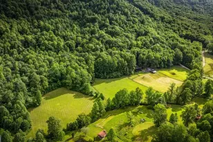 225 Cohutta Ranch Rd, Blue Ridge, GA 30513 - Photo 9