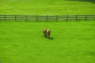 225 Cohutta Ranch Rd, Blue Ridge, GA 30513 - Photo 3