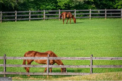 225 Cohutta Ranch Road, Blue Ridge, GA 30513 - Photo 67