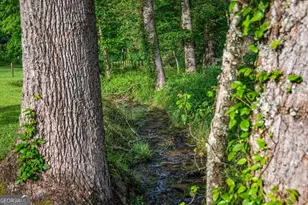 225 Cohutta Ranch Rd, Blue Ridge, GA 30513 - Photo 71