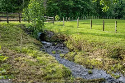 225 Cohutta Ranch Road, Blue Ridge, GA 30513 - Photo 69