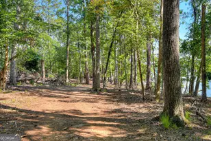 1199 Pawnee Dr, Lincolnton, GA 30817 - Photo 67