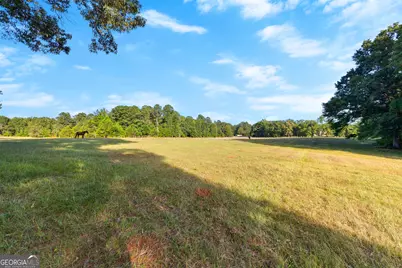 4091 Hollonville Road, Williamson, GA 30292 - Photo 27