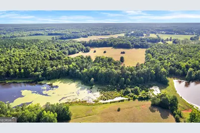 4091 Hollonville Road, Williamson, GA 30292 - Photo 33