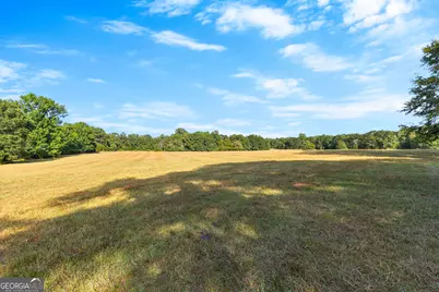 4091 Hollonville Road, Williamson, GA 30292 - Photo 59