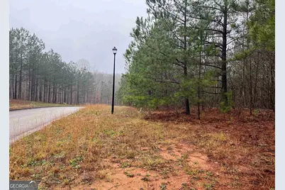 1017 Queens Bridge Way, Griffin, GA 30223 - Photo 5