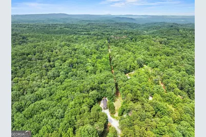 1458 Grant Mill Road, Alto, GA 30510 - Photo 3