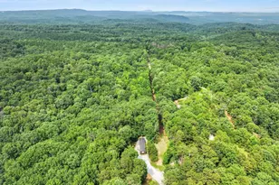 1458 Grant Mill Rd, Alto, GA 30510 - Photo 3