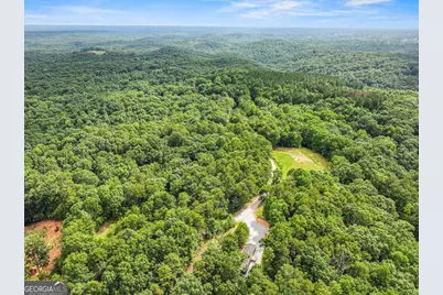 1458 Grant Mill Road, Alto, GA 30510 - Photo 5