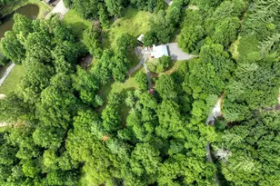 211 Rockhouse Road, Cherry Log, GA 30522 - Photo 59