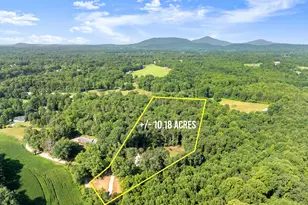 234 Mossy Creek Church Rd, Cleveland, GA 30528 - Photo 3