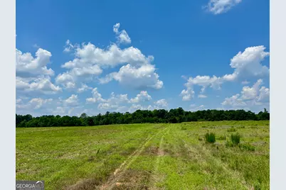 243 Hamil Road #13.18 AC, Griffin, GA 30223 - Photo 3