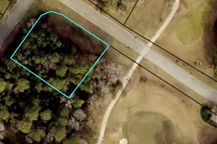 163 Osprey Dr, Saint Marys, GA 31558 - Photo 1