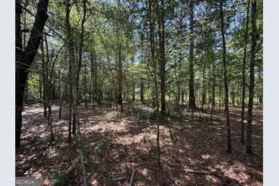 0 Fairway Lane, Hawkinsville, GA 31036 - Photo 3