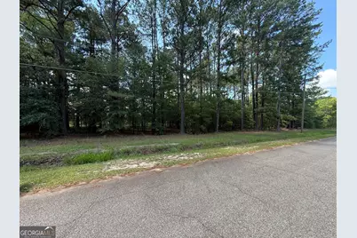 0 Fairway Lane, Hawkinsville, GA 31036 - Photo 1