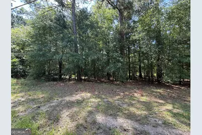 0 Fairway Lane, Hawkinsville, GA 31036 - Photo 5