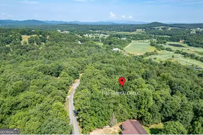 1133 Garrett Circle, Blairsville, GA 30512 - Photo 59