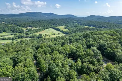 1133 Garrett Circle, Blairsville, GA 30512 - Photo 53
