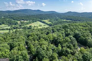 1133 Garrett Cir, Blairsville, GA 30512 - Photo 53