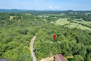 1133 Garrett Cir, Blairsville, GA 30512 - Photo 51