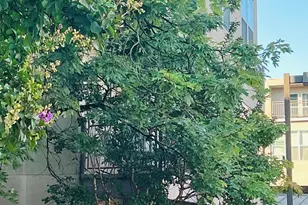 238 Walker St SW, Atlanta, GA 30313 - Photo 31