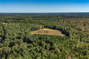 230 Haynes Rd, Moreland, GA 30259 - Photo 73