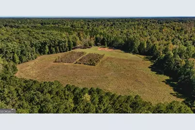 230 Haynes Road, Moreland, GA 30259 - Photo 77