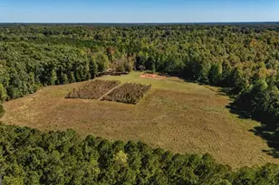 230 Haynes Rd, Moreland, GA 30259 - Photo 77