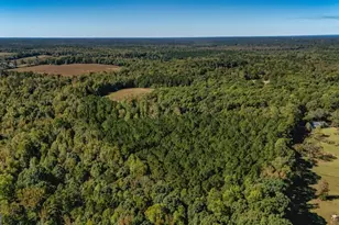 230 Haynes Rd, Moreland, GA 30259 - Photo 69