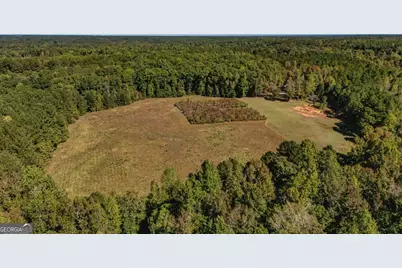 230 Haynes Road, Moreland, GA 30259 - Photo 79