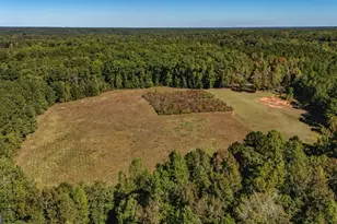 230 Haynes Rd, Moreland, GA 30259 - Photo 79