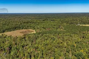 230 Haynes Rd, Moreland, GA 30259 - Photo 71