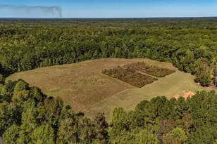 230 Haynes Rd, Moreland, GA 30259 - Photo 81