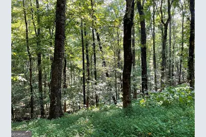 76 Tally Cove Road, Jasper, GA 30143 - Photo 3