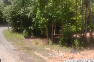 Lot 10 Hawks Nest Rd, Blairsville, GA 30512 - Photo 33