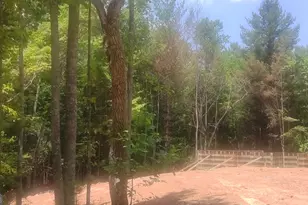 Lot 10 Hawks Nest Rd, Blairsville, GA 30512 - Photo 27