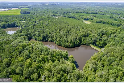 1041 River Farm Way, Madison, GA 30650 - Photo 59