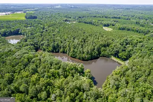 1041 River Farm Way, Madison, GA 30650 - Photo 59