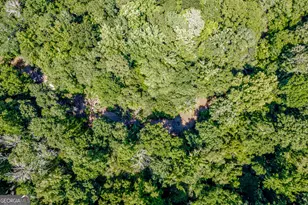 1041 River Farm Way, Madison, GA 30650 - Photo 65