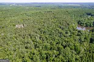 1041 River Farm Way, Madison, GA 30650 - Photo 63