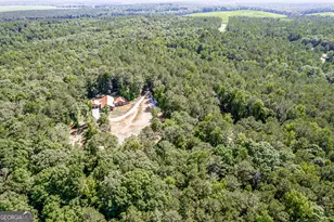 1041 River Farm Way, Madison, GA 30650 - Photo 67