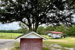 1302 Jim Sapp Rd, Claxton, GA 30417 - Photo 31