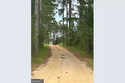 1302 Jim Sapp Road, Claxton, GA 30417 - Photo 21