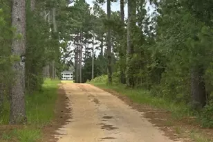 1302 Jim Sapp Rd, Claxton, GA 30417 - Photo 21