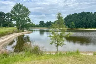 1302 Jim Sapp Rd, Claxton, GA 30417 - Photo 45