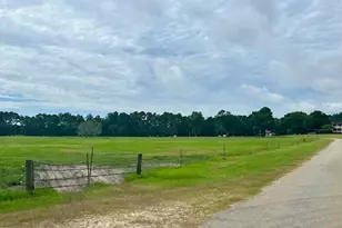 1302 Jim Sapp Rd, Claxton, GA 30417 - Photo 47