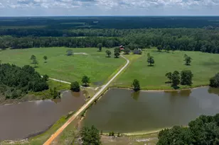 1302 Jim Sapp Rd, Claxton, GA 30417 - Photo 13